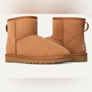 Uggs Boot